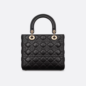 Medium Lady Dior Bag Back view