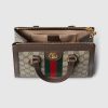 547551_K05NB_8745_013_100_0000_Light-Ophidia-small-tote-bag