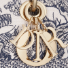 Medium Lady D-Lite Bag Detailed view