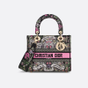 Medium Lady D-Lite Bag Front view