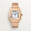 Santos de Cartier watch (1)