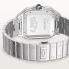 Santos de Cartier watch (10)