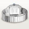 Santos de Cartier watch (10)