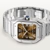 Santos de Cartier watch (13)