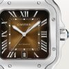 Santos de Cartier watch (15)