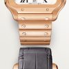 Santos de Cartier watch (3)