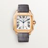 Santos de Cartier watch (4)
