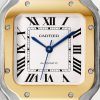 Santos de Cartier watch (4)