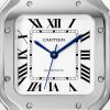 Santos de Cartier watch (4)