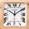 Santos de Cartier watch (5)