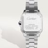 Santos de Cartier watch (5)