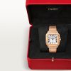 Santos de Cartier watch (6)
