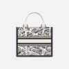 Small Dior Book Tote Back view
