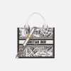 Small Dior Book Tote Front view (2)