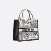 Small Dior Book Tote Three quarter closed view