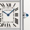 Tank Must de Cartier watch (7)