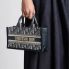 aria_look East-West Dior Book Tote with Strap Detai (1)