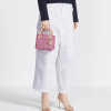 aria_look Mini Lady Dior Bag Detailed view