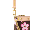 路易威登-lv-x-tm-pochette-accessoires-手袋-monogram-小型皮具--M13666_PM1_Closeup view