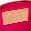 路易威登-lv-x-tm-speedy-bandoulière-20-手袋-monogram-女士包袋--M14175_PM1_Other view